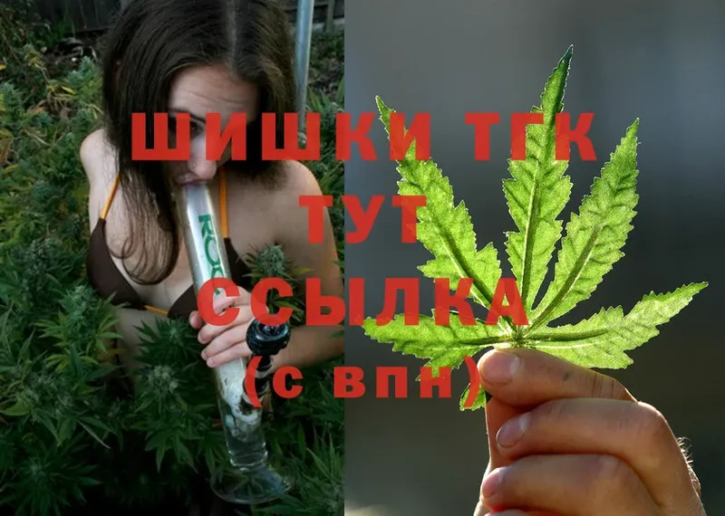 Конопля SATIVA & INDICA  сколько стоит  Саяногорск 